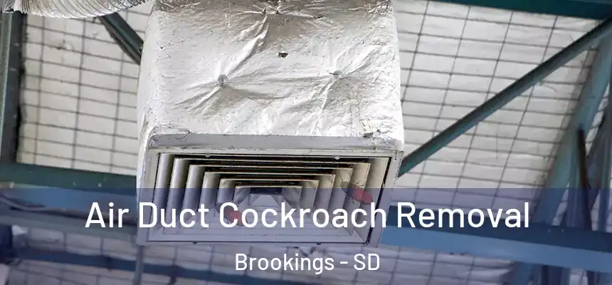  Air Duct Cockroach Removal Brookings - SD