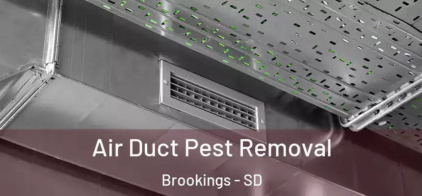 Air Duct Pest Removal Brookings - SD