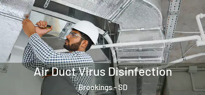  Air Duct Virus Disinfection Brookings - SD