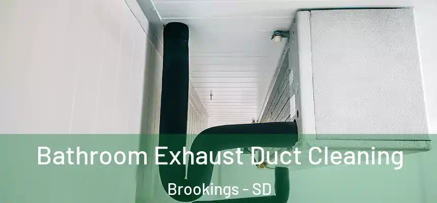 Bathroom Exhaust Duct Cleaning Brookings - SD