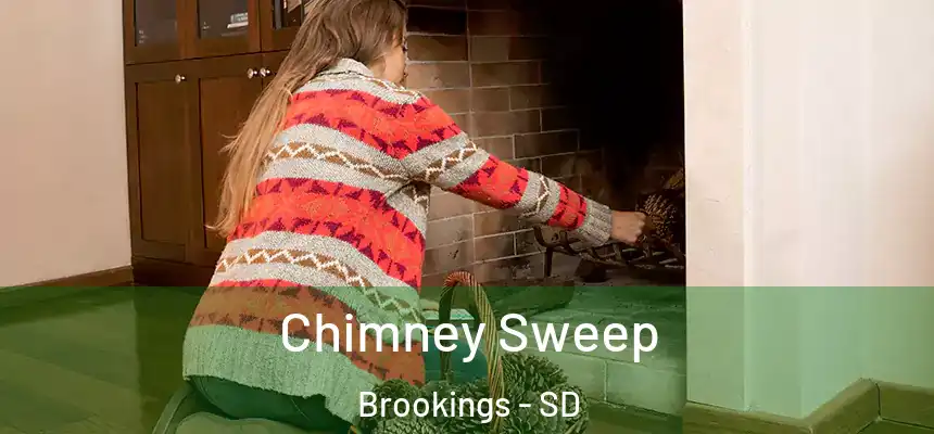  Chimney Sweep Brookings - SD