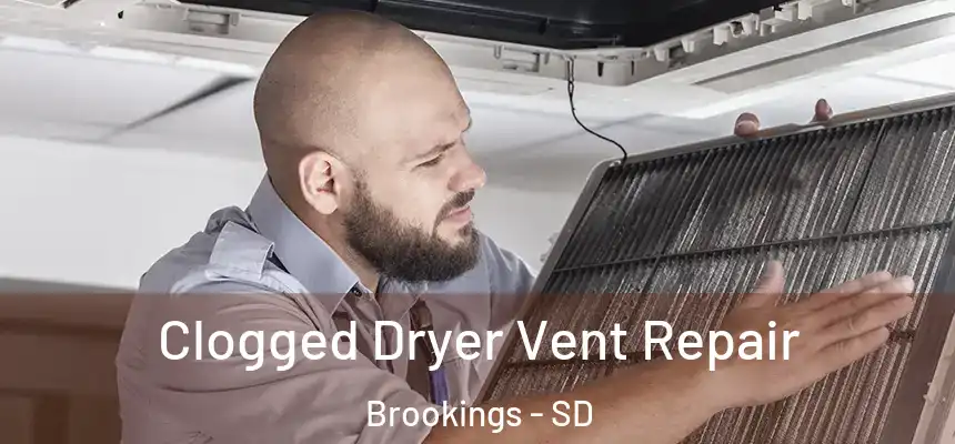  Clogged Dryer Vent Repair Brookings - SD