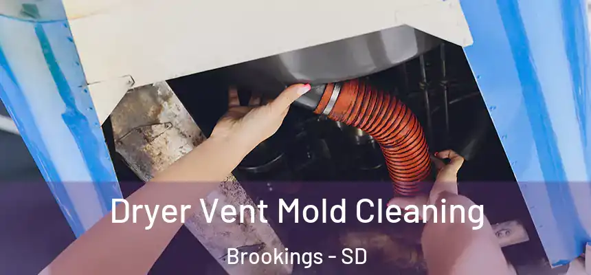 Dryer Vent Mold Cleaning Brookings - SD