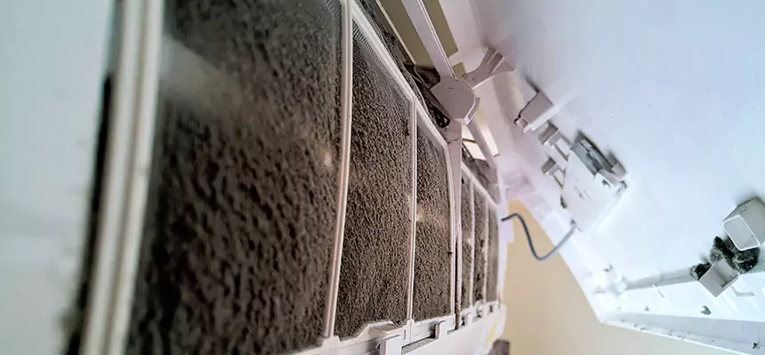 Preventive Air Duct Bacteria Removal in Brookings