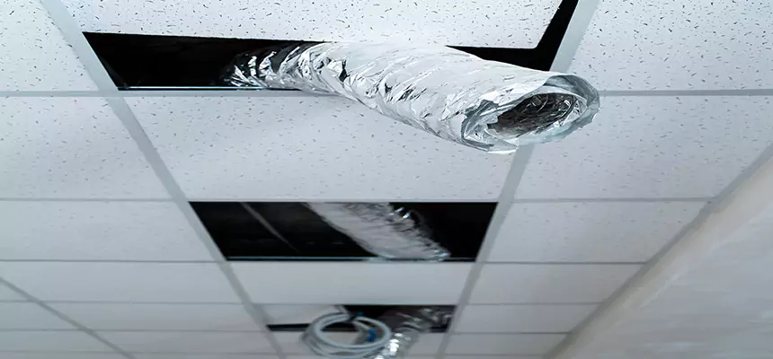 Our Air Duct Pet Hair Removal Services in Brookings, SD