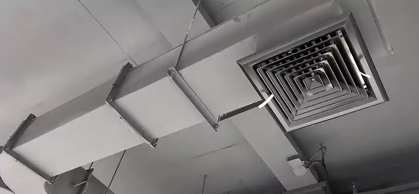 Restorative Allergy Relief Vent Cleaning – Coil, Blower & Housing Detail in Brookings