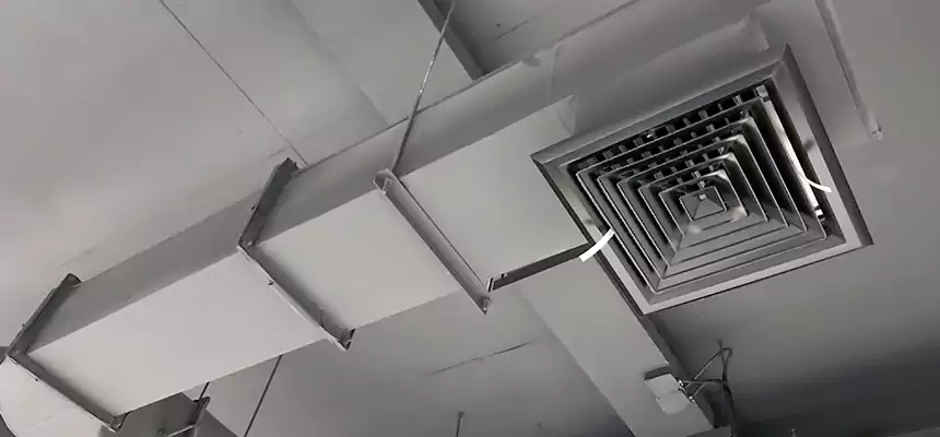 Our Pest Removal From Ducts Services in Brookings, SD