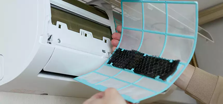 Gentle Ductwork Odor-Control Pet Dander Duct Cleaning in Brookings, SD