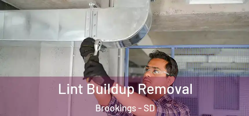 Lint Buildup Removal Brookings - SD