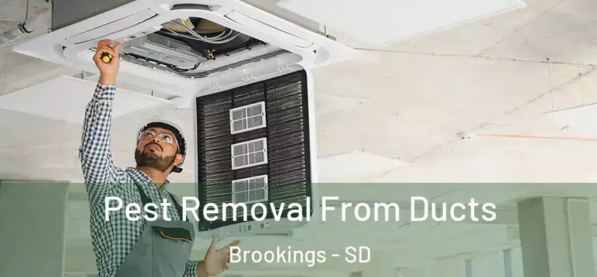  Pest Removal From Ducts Brookings - SD