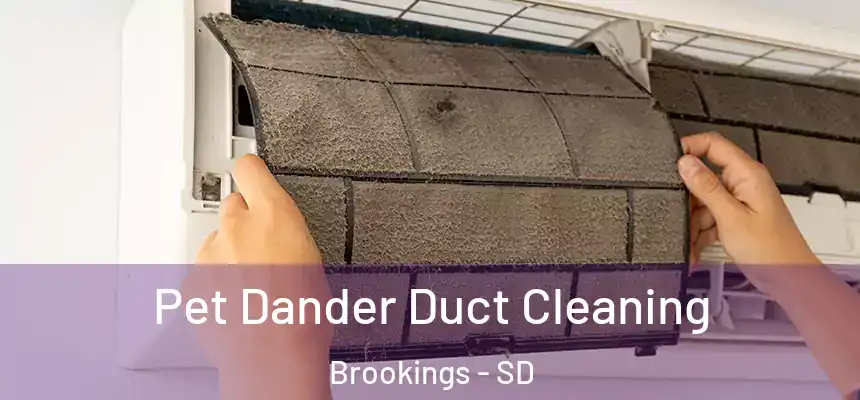Pet Dander Duct Cleaning Brookings - SD