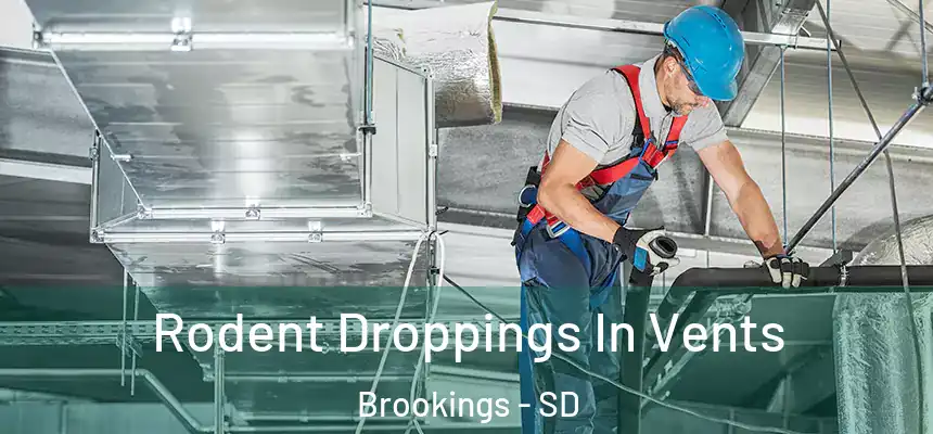  Rodent Droppings In Vents Brookings - SD
