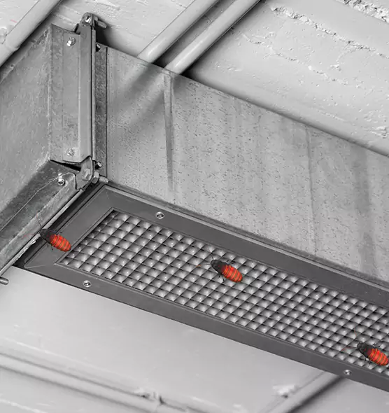 About Air Duct Cockroach Removal in Brookings, SD